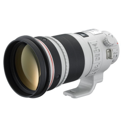 Canon 標準ズームレンズ　EF70-300mm F4-5.6L IS USM